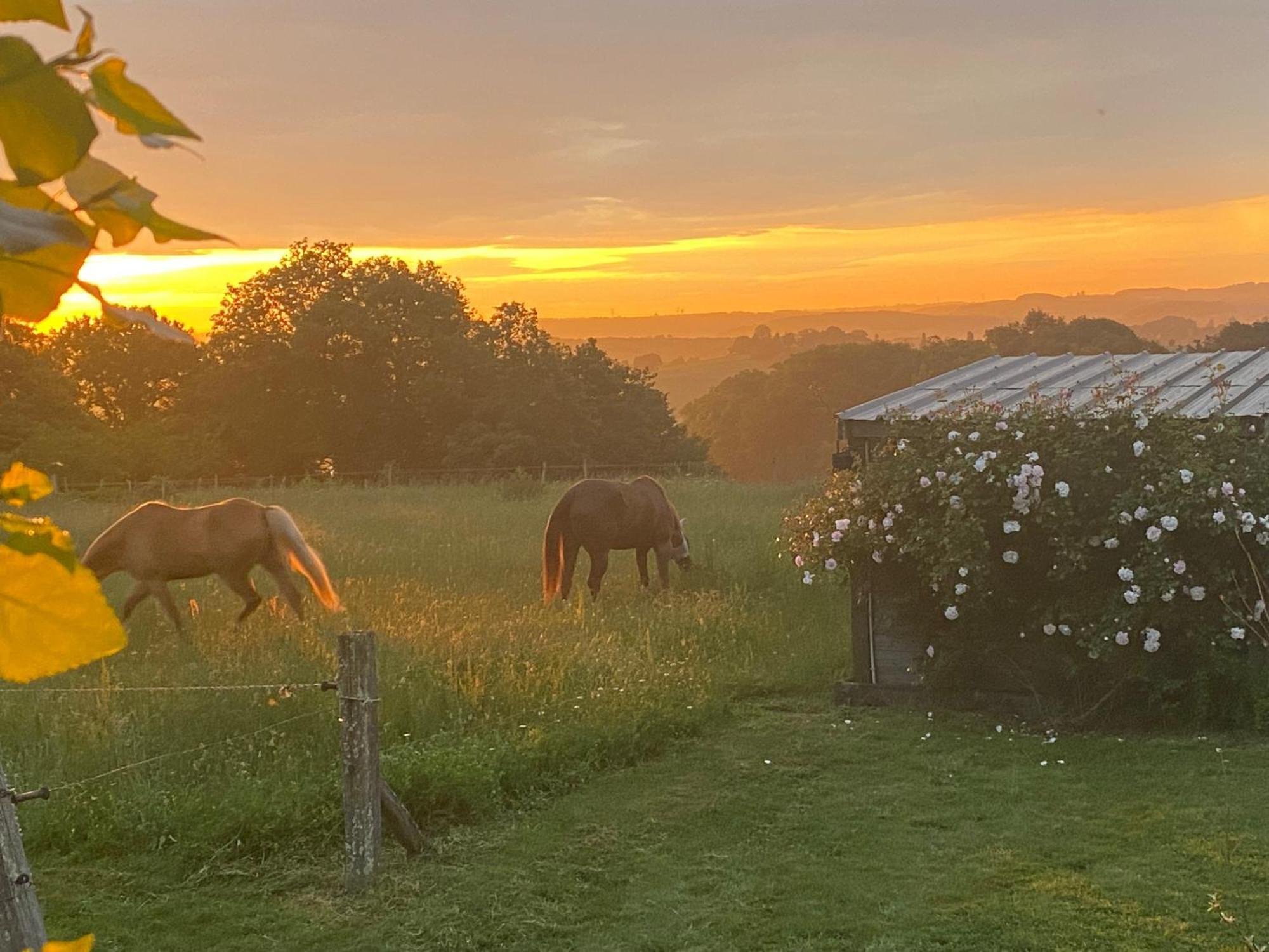 Logement Entier De Charme, Gite Equestre Gers Flamarens المظهر الخارجي الصورة
