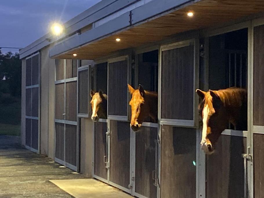 Logement Entier De Charme, Gite Equestre Gers Flamarens المظهر الخارجي الصورة