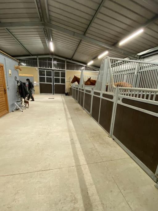 Logement Entier De Charme, Gite Equestre Gers Flamarens المظهر الخارجي الصورة